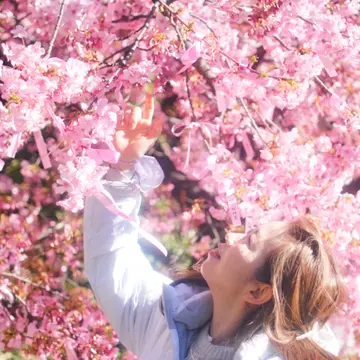 【さかぽんの冒険】桜の都物語①渋谷区♡桜神宮