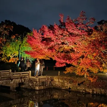 栗林公園ライトアップ