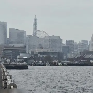 前髪ありの大人ボブで心機一転！冬ファッションに似合う髪型に挑戦【チームJマダムブログ人気記事週間ランキングTOP10】_1_20-2