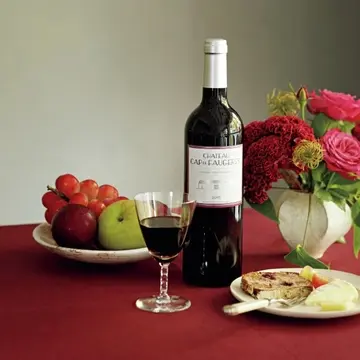 どんな料理も盛り上げる、美しい大人のワイン「カスティヨン・コート・ド・ボルドー」【飲むんだったら、イケてるワイン】