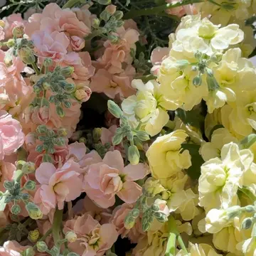 【花時間】Christmasフラワーマルシェとランチパーティー_1_5-1