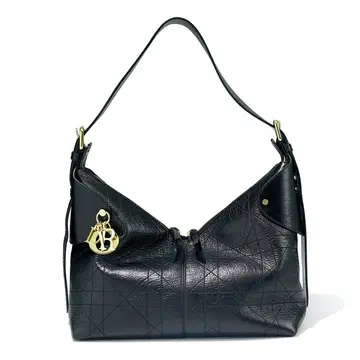 オンもオフも頼りにしたい！ディオールのバッグ、プロテカのスーツケース、ラカドのシューズ