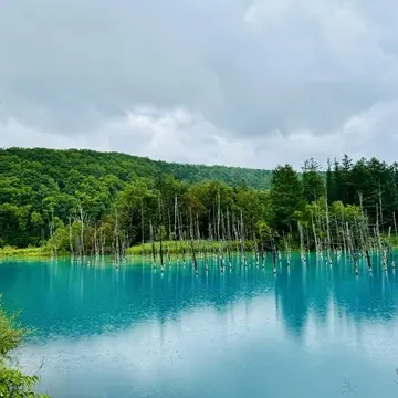 言葉で表せないブルー！北海道｜美瑛・富良野の旅