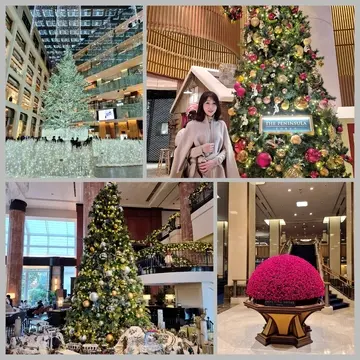 都内で見られるクリスマスツリーまとめ