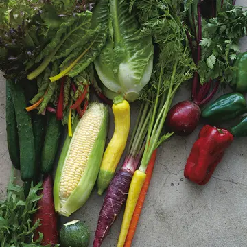センスあふれる西洋野菜を育てる 「アグリアート農園」