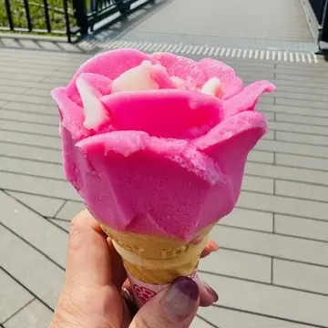 ☆初の秋田～桜の角館と花火の大曲へ☆vol.2