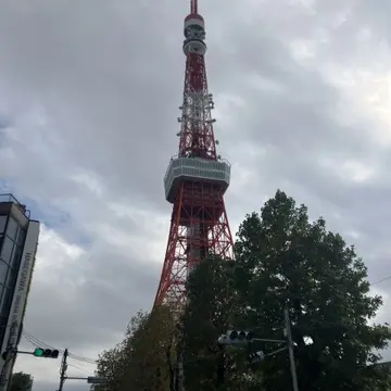 見上げれば東京タワーのおしゃれレストラン