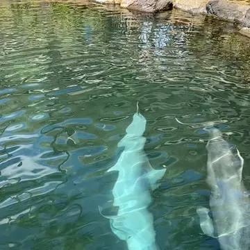 オアフ島へ移動してから