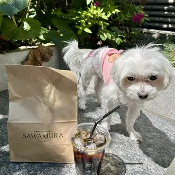 広尾SAWAMURAでモーニング