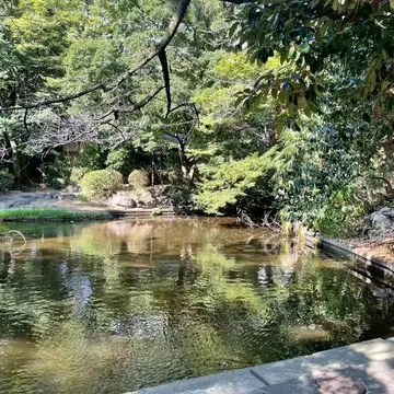 横から見てもきれい！秋を意識した長めショートヘア【チームJマダムブログ人気記事週間ランキングTOP10】_1_5-1