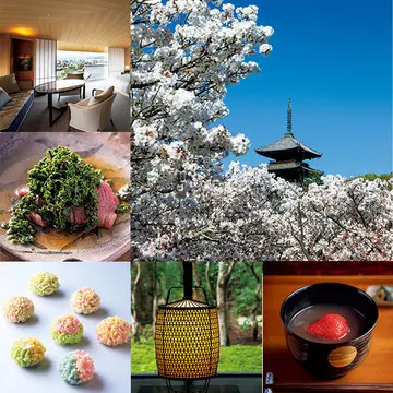 【2020春の京都まとめ】来年への楽しみ膨らむ！美しい花々と旬の味覚