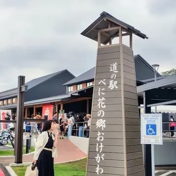 “かざぐるま”が夏らしさを演出！「夏詣」で一年後半の平穏を祈願【チームJマダムブログ人気記事週間ランキングTOP10】_1_20-1
