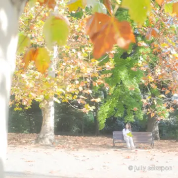 【さかぽんの冒険】プラタナス並木で ほっこり土曜日❤️@新宿御苑前