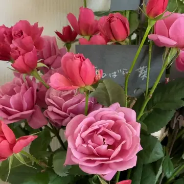 【花時間】Christmasフラワーマルシェとランチパーティー_1_5-2