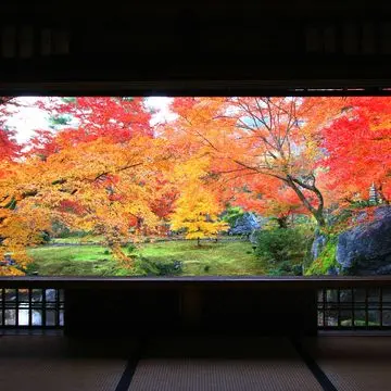 50代のための紅葉スポット！①日本の心を感じる、神社仏閣の美