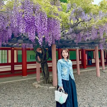 デニムコーデで花散歩　都内屈指のパワースポット日枝神社の藤の花に誘われて