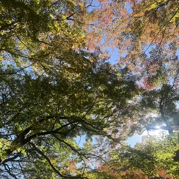 京都　祐斎亭　嵐山