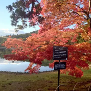 岩手から秋田 ①🍁平泉、紅葉の毛越寺