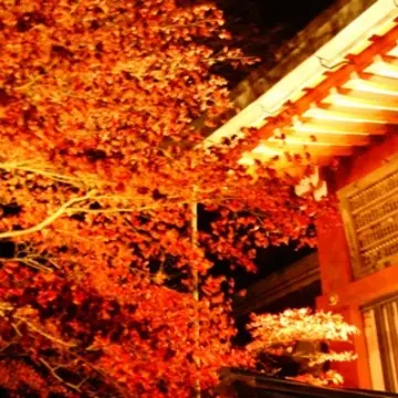想像以上の絶景に出会えた神奈川の紅葉の見どころ〜大山編〜