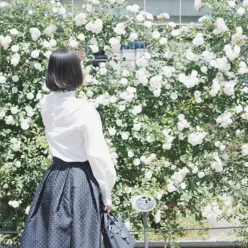新緑の季節、バラが見頃の大阪中之島公園へ♪