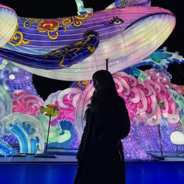 ドイツ村のウィンターイルミネーション素敵でした♪