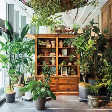 スタイリッシュな植物が揃うお店から人気大型店まで「都内のグリーンショップ」3選【グリーンを育てる幸せ、飾る楽しみ】