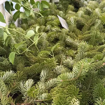 【花時間】Christmasフラワーマルシェとランチパーティー_1_4-1