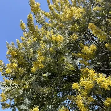 京の奥座敷、新緑の湯の花温泉へ_1_7-2