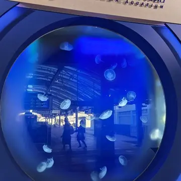 江の島で運気を整える！｢祐気取り｣プチトリップ_1_2-1