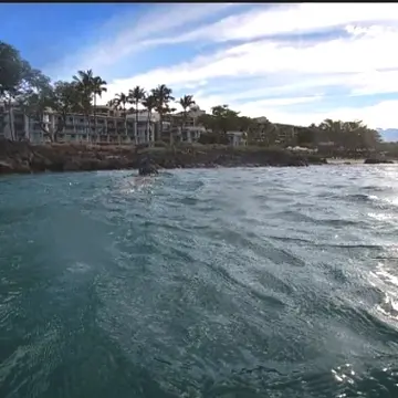 ハワイ島へ♡全米1美しいビーチのあるウェスティンハプナビーチリゾート②