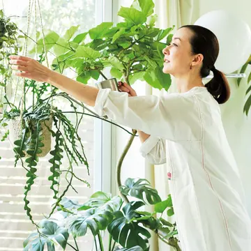 桐島かれんさんが教える「観葉植物の育て方のポイント」【グリーンを育てる幸せ、飾る楽しみ】