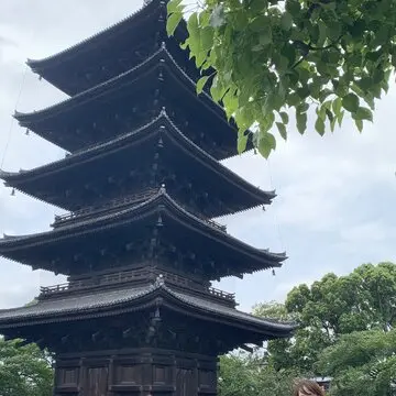 【滋賀・京都】母と姉妹の2泊3日温泉旅　東寺編　旅の土産もご紹介