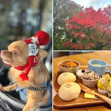 愛犬と那須へおでかけ♪牧場ランチ＆美しい紅葉