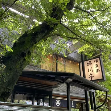 【初夏の上野】大人のごほうび時間｜うなぎ「伊豆栄 梅川亭」とレトロ喫茶「カヤバコーヒー」へ
