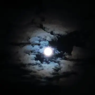 中秋の名月と満月