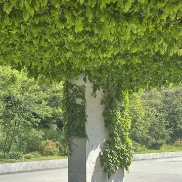 【母妹と直島アートの旅　DAY2】