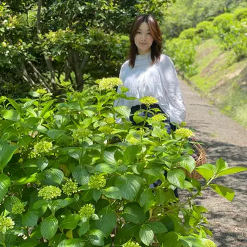 フロントコンシャスな白ブラウスにデニムスカートで日本庭園と紫陽花を見れる場所へ
