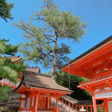 出雲市の日御碕神社