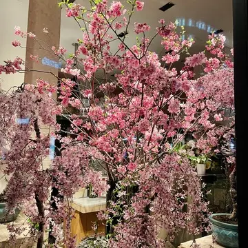 桜の枝花