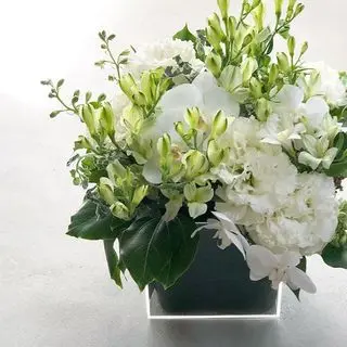 【花のある暮らし】白とグリーンのブーケ