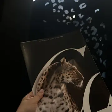 Cartier"INTO TO THE WILD"へ