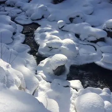 川の上の石にマシュマロのように降り積もる雪