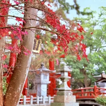 北陸の守護神「氣比神宮」へ 松尾芭蕉が愛した月と秋の風景に触れて…