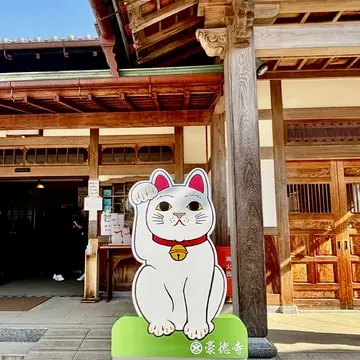 豪徳寺と節分の和菓子