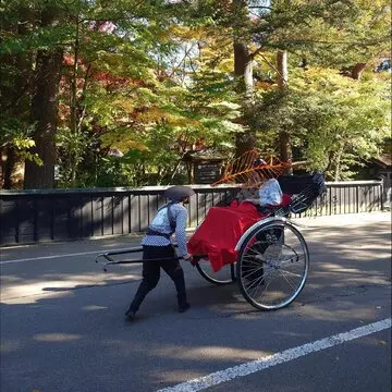今年の紅葉🍁まとめ