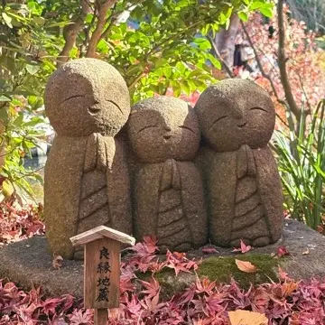 想像以上の絶景に出会えた神奈川の紅葉の見どころ〜北鎌倉・鎌倉編〜