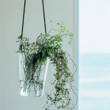 5.つる性植物の性質を生かしてガラス器で空間に風を演出