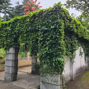 愛犬と元町・中華街へ
