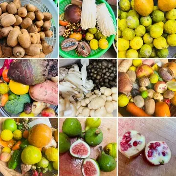 秋の恵みたっぷり！手作り酵素ドリンク