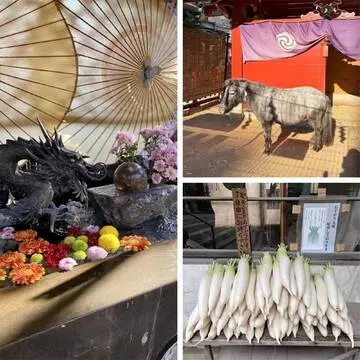 【松島・日光・茨城・東京・鎌倉】大根のお供えや花手水など個性豊か！東日本のパワースポット10選【チームJマダムまとめ】